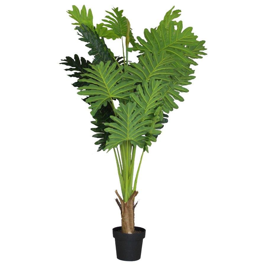 CH10800727 Happy Philo In Pot 140cm - Mandaue Foam