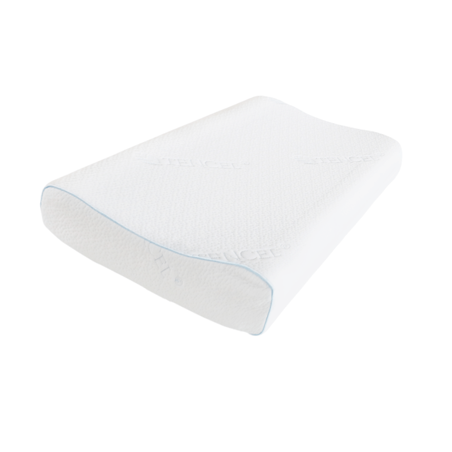 Latex Imported Pillow Latex Imported Pillow Mandaue Foam