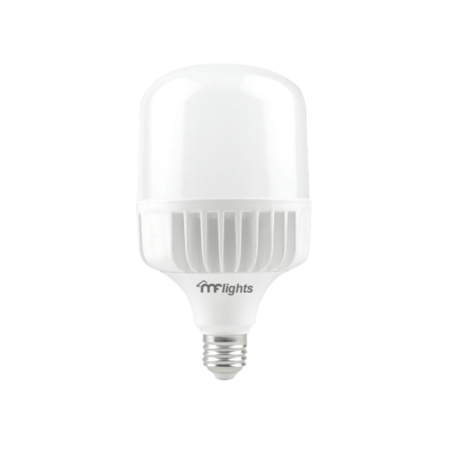 LED Capsule Bulb 20W Daylight