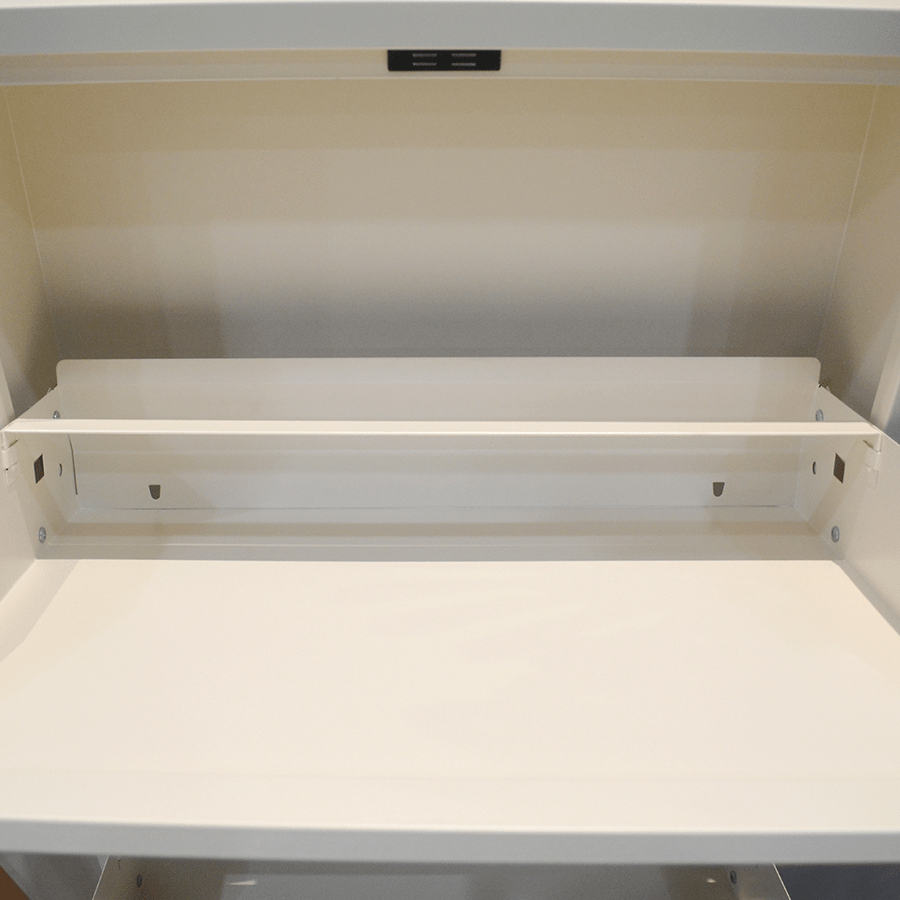 MORE MINJI OPTIONS Minji Metal Shoe Cabinet Minji Metal Shoe Cabinet Mandaue Foam