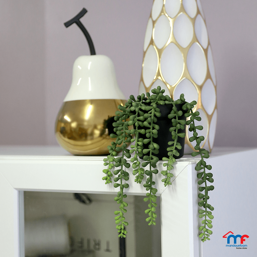 String of Pearl Potted Plant 23 cm String of Pearl Potted Plant 23 cm Mandaue Foam